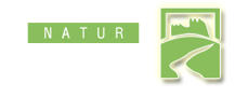 NaturBarroso | Animação Turística
